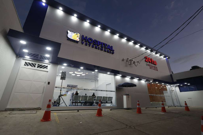 hospital prontvet em sao paulo 24 horas - coceira constante em cães