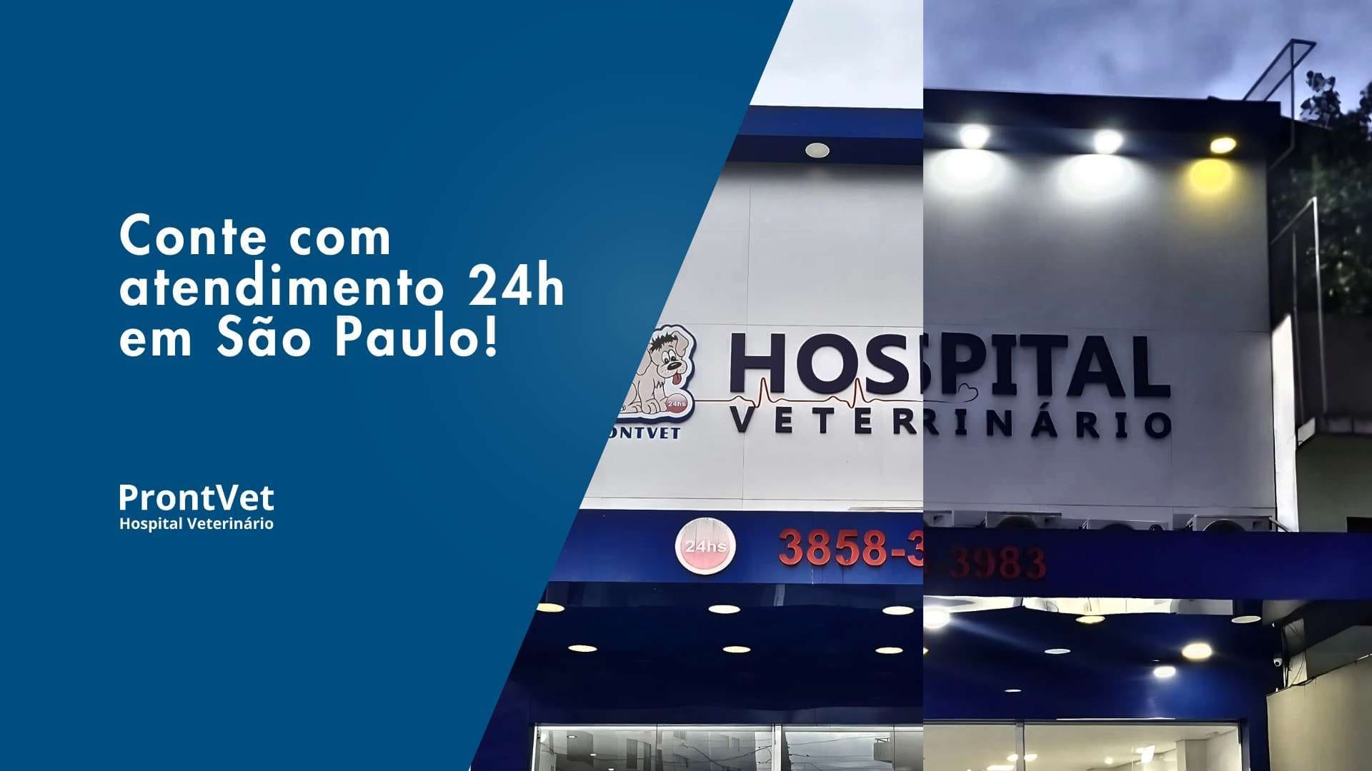 Hospital prontvet 24 horas em são paulo - urgências, emergências e clínica